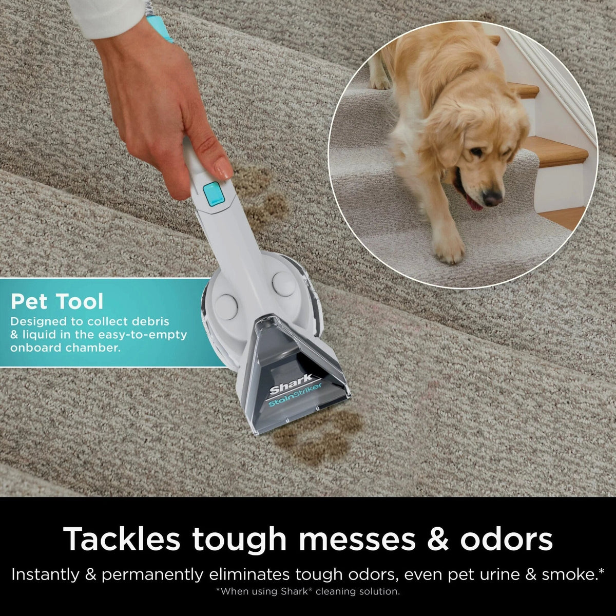 Shark? CarpetXpert? with Stainstriker? Carpet Cleaner