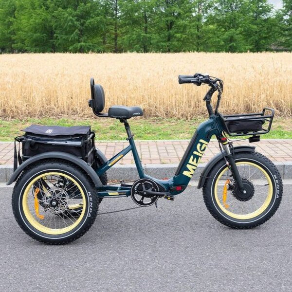 SILVERADO 20 48V/14AH 750W Foldable Fat Tire Electric Trike, 330LBS (96817362)