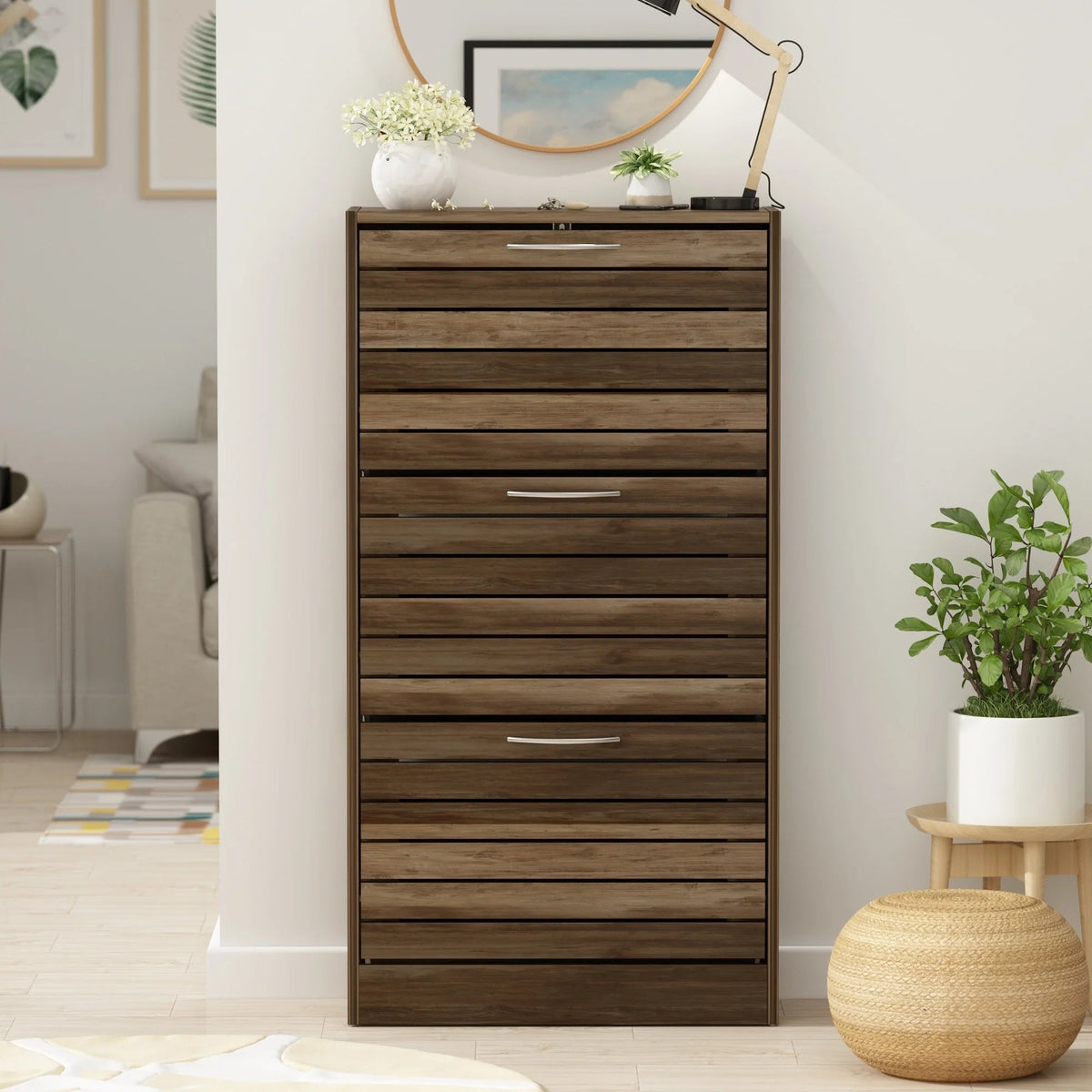 Modern Flip-Down Shoe Storage Cabinet