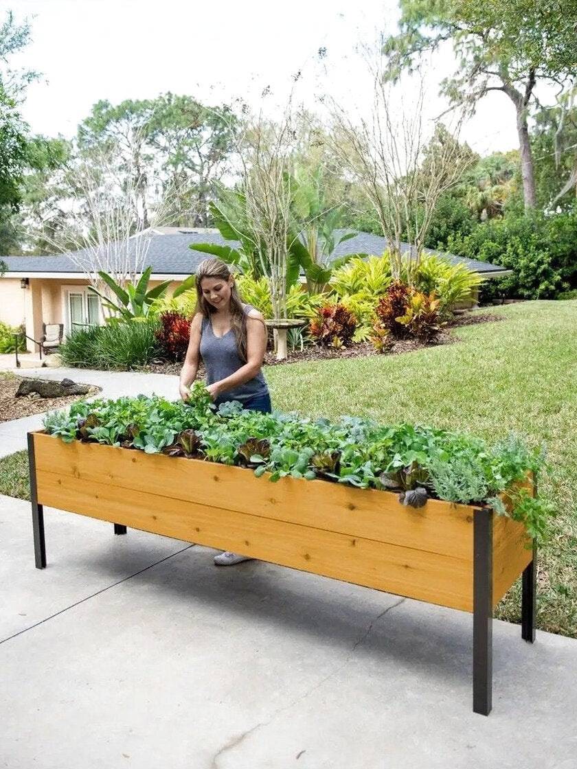 Watering Eco-Stained Elevated Planter Box