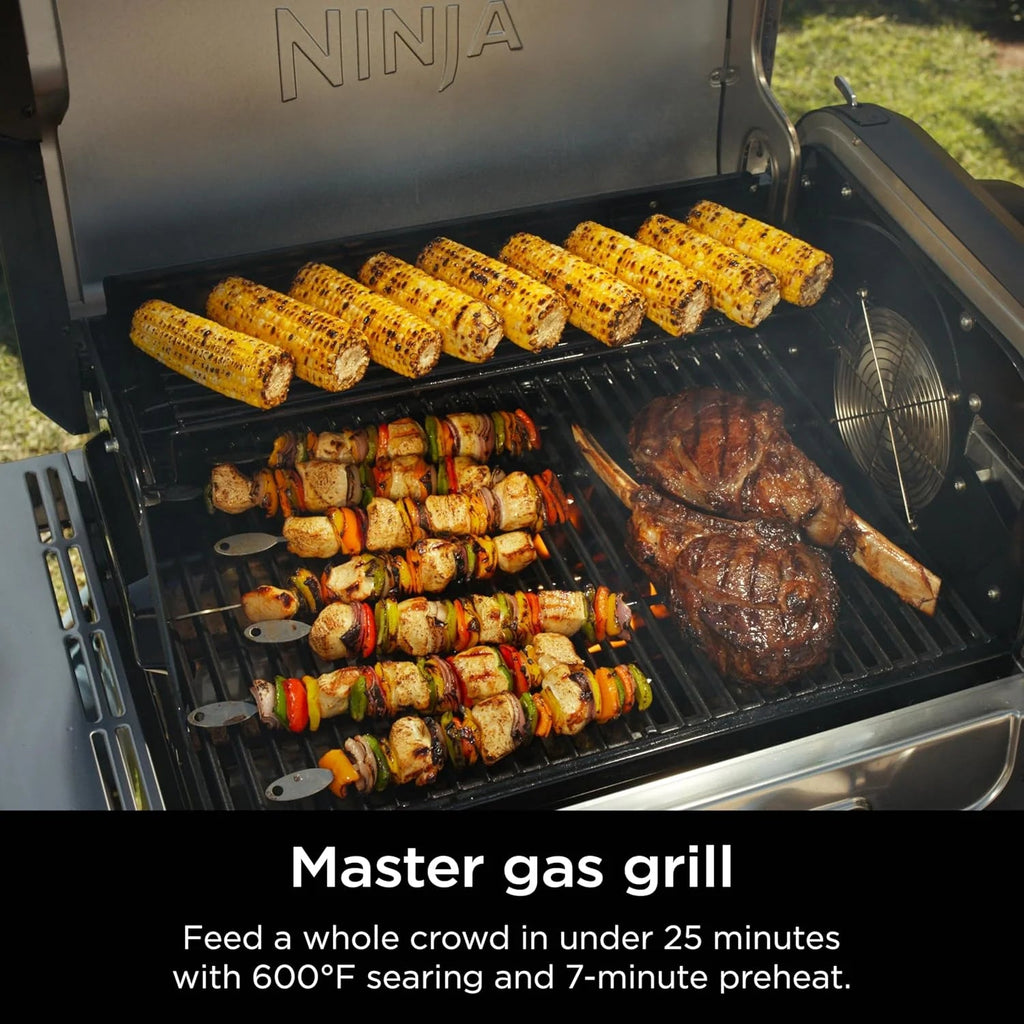 5-in-1 Electric and Propane 3-Burner Outdoor Grill and Smoker, Stainless Steel