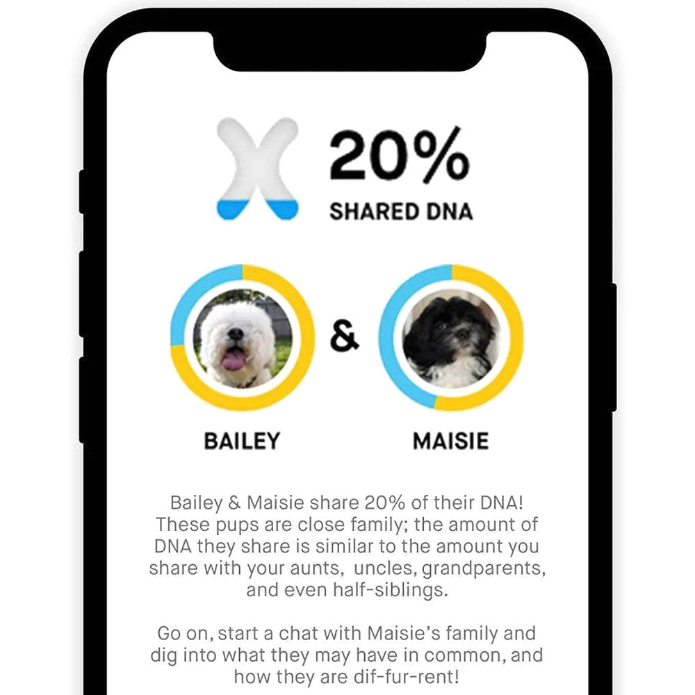 Embark Dog DNA Test, Breed Identification Kit