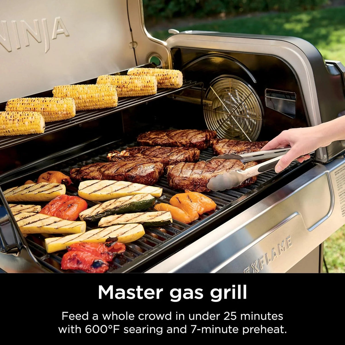 5-in-1 Electric and Propane 3-Burner Outdoor Grill and Smoker, Stainless Steel
