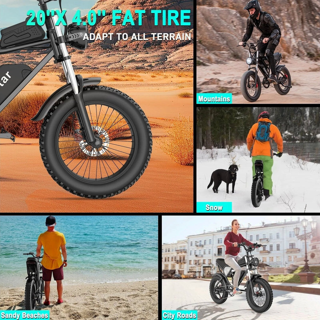 Electric Bike for Adults Ridstar, 1200W 30mph Moutain Bike,48V 15.6AH Battery E-Bike,20" Fat Tire Electric Motorcycle,Electric Bicycle 7 Speed Full Suspension
