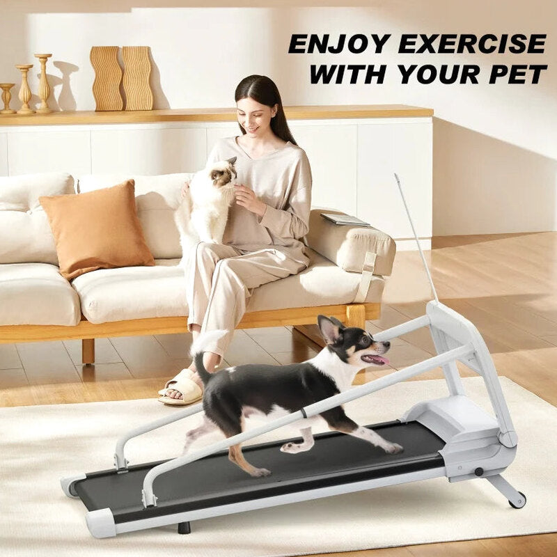 Witaxima 2025 New Quiet Smart Pet Treadmill, Adjustable Speed, Perfect for Small/Medium Dogs
