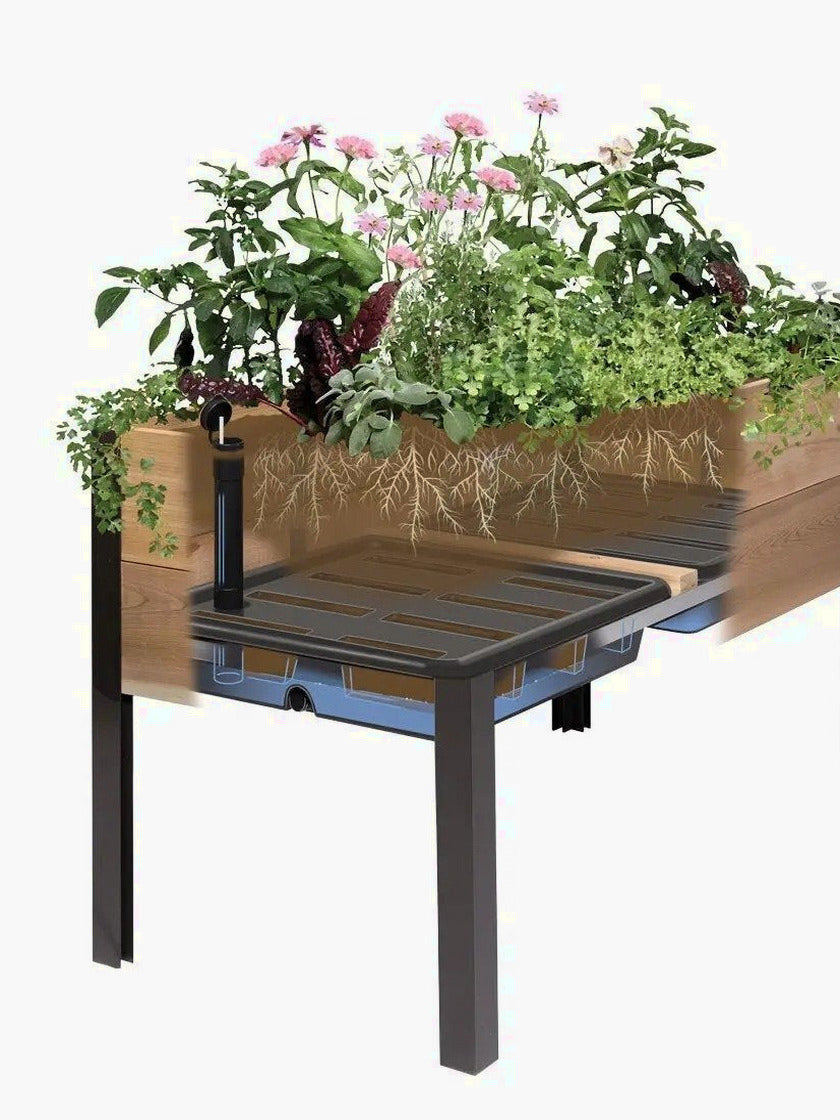 Watering Eco-Stained Elevated Planter Box