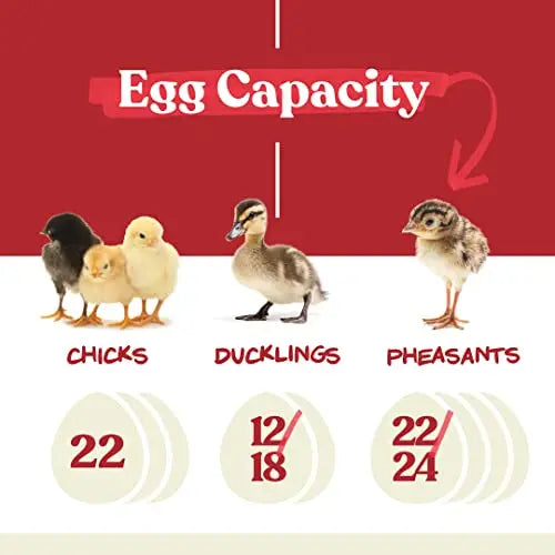 Harris Farms Egg Incubator For Hatching Chicks, Holds 22 Eggs - Nurture Right