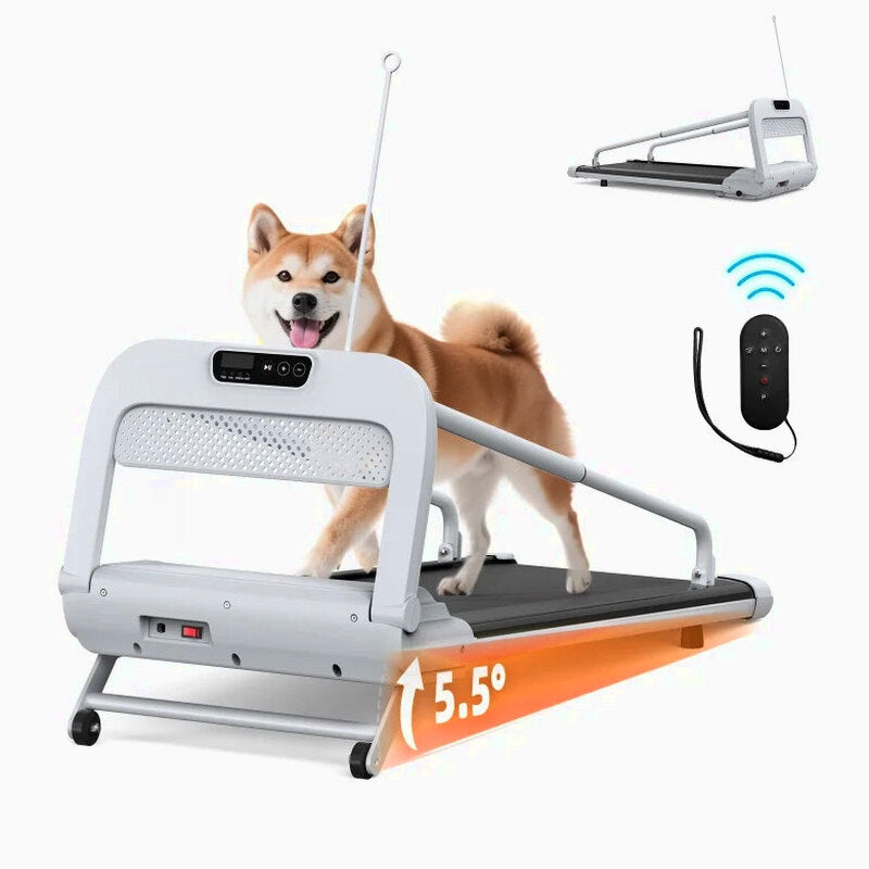 Witaxima 2025 New Quiet Smart Pet Treadmill, Adjustable Speed, Perfect for Small/Medium Dogs