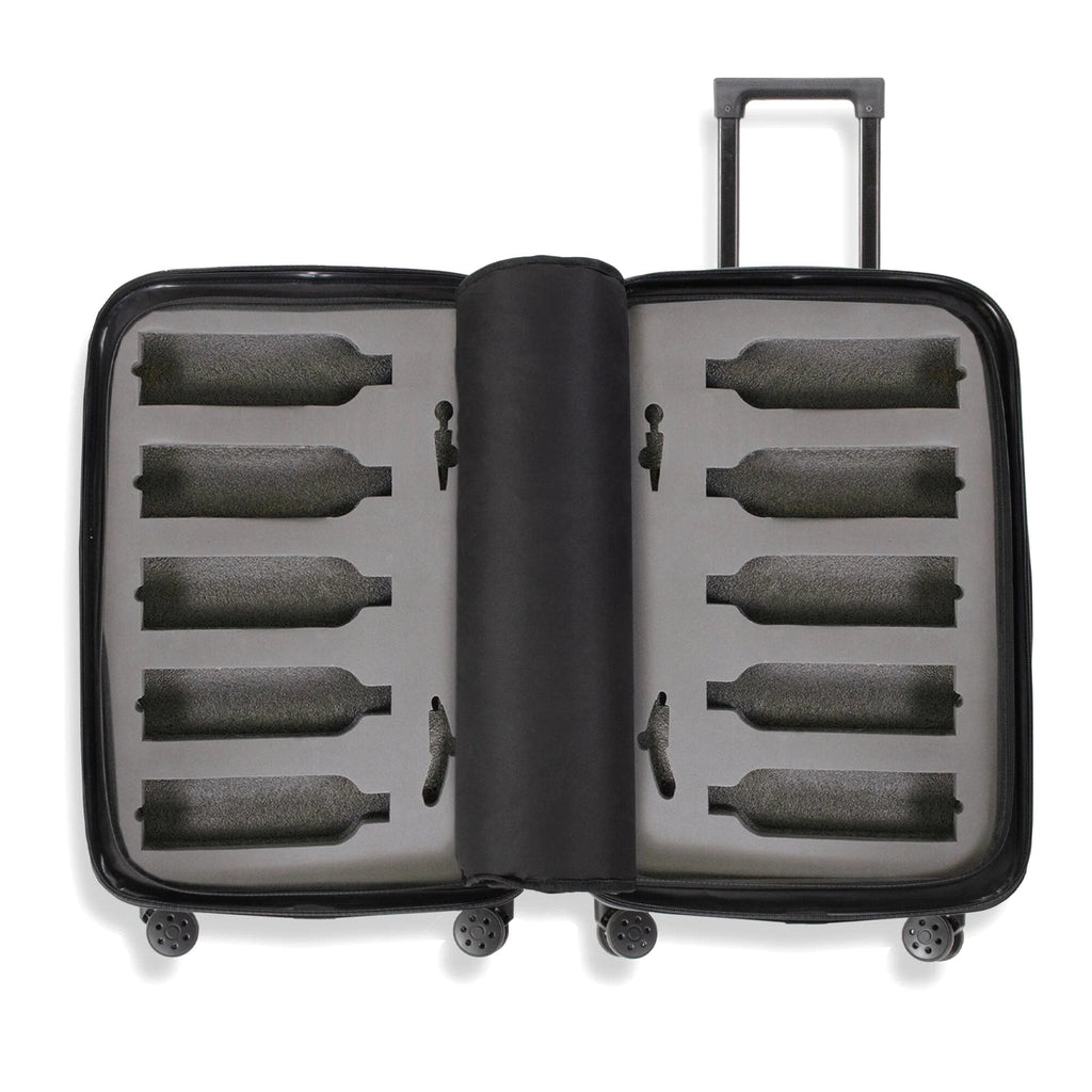 The Ten (10-Bottle) Wine Luggage, TSA Approved Anti-Theft Zipper, Lightweight Hard Shell Spinner Suitcase