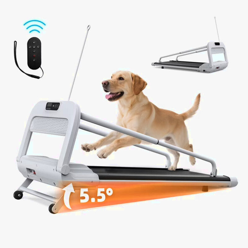 Witaxima 2025 New Quiet Smart Pet Treadmill, Adjustable Speed, Perfect for Small/Medium Dogs
