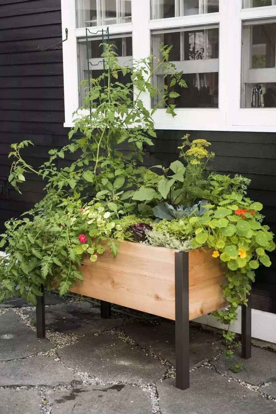 Watering Eco-Stained Elevated Planter Box