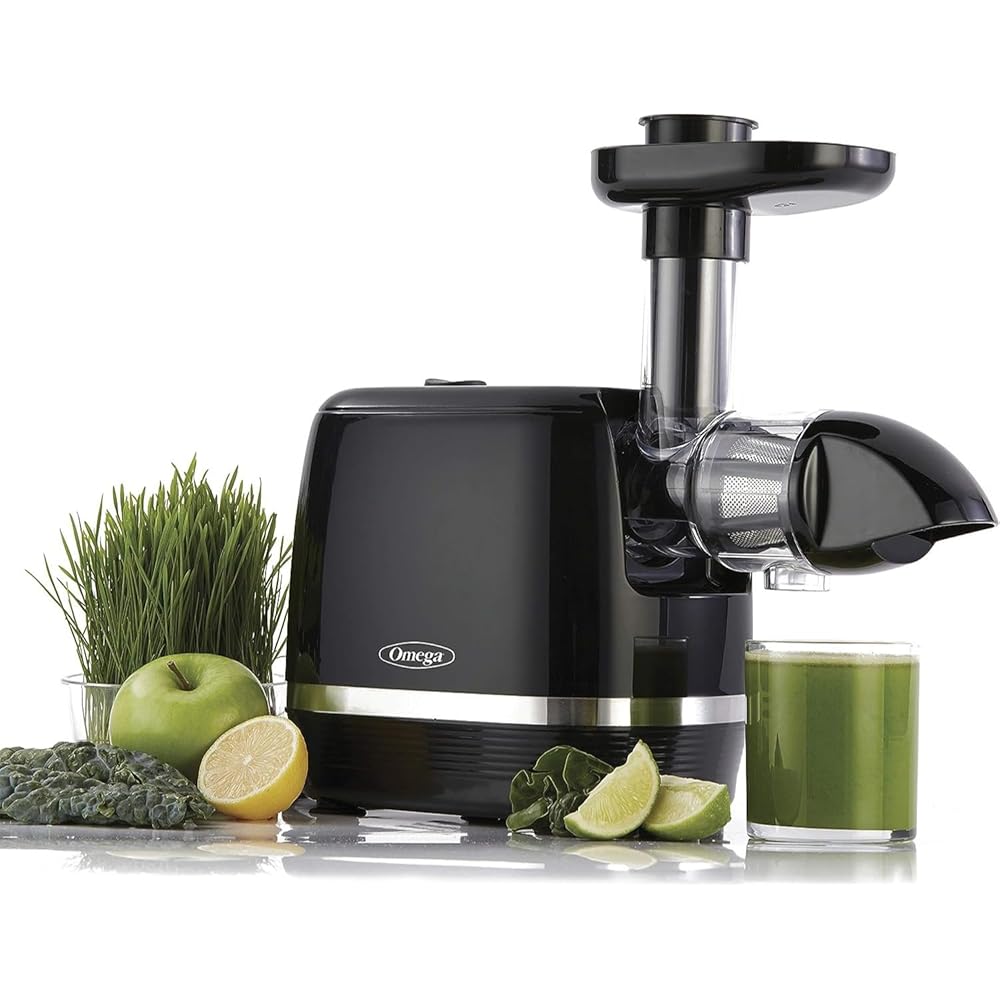 Omega H3000R Slow Masticating Juicer, 150-Watt, Black - H3000R