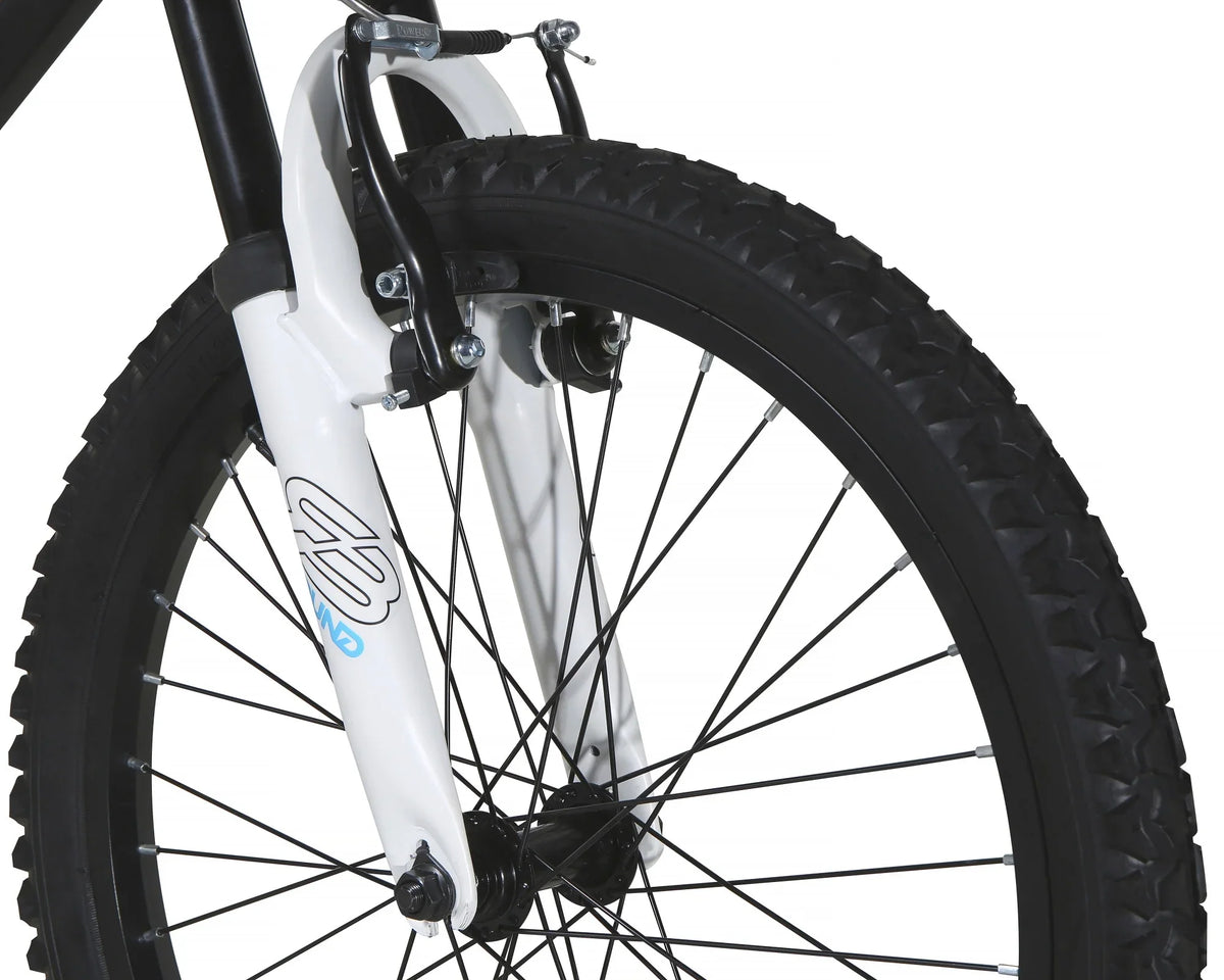 Dynacraft Air Zone 20-Inch Boys Mountain Bike - Air Zone