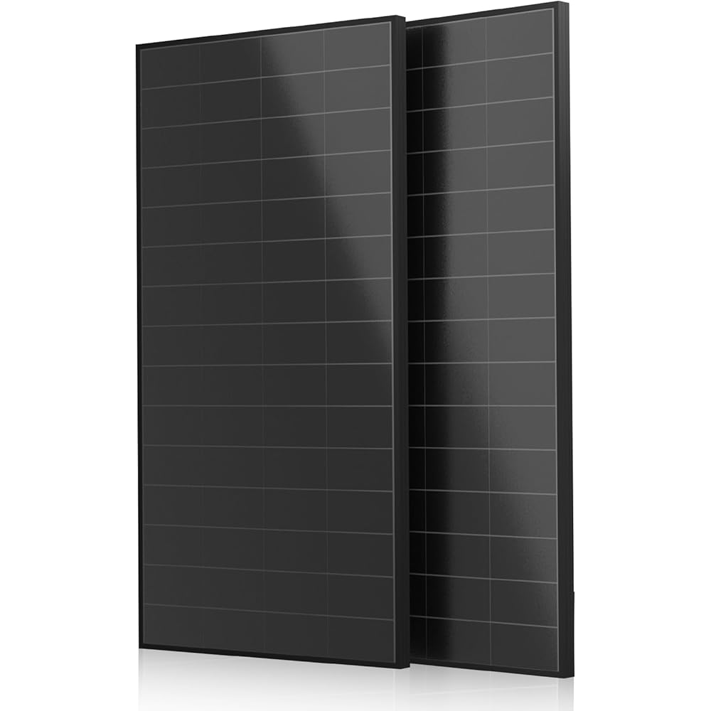 Eco-Worthy 200W N-Type High-Efficiency Solar Panel Pair - 2-Pack