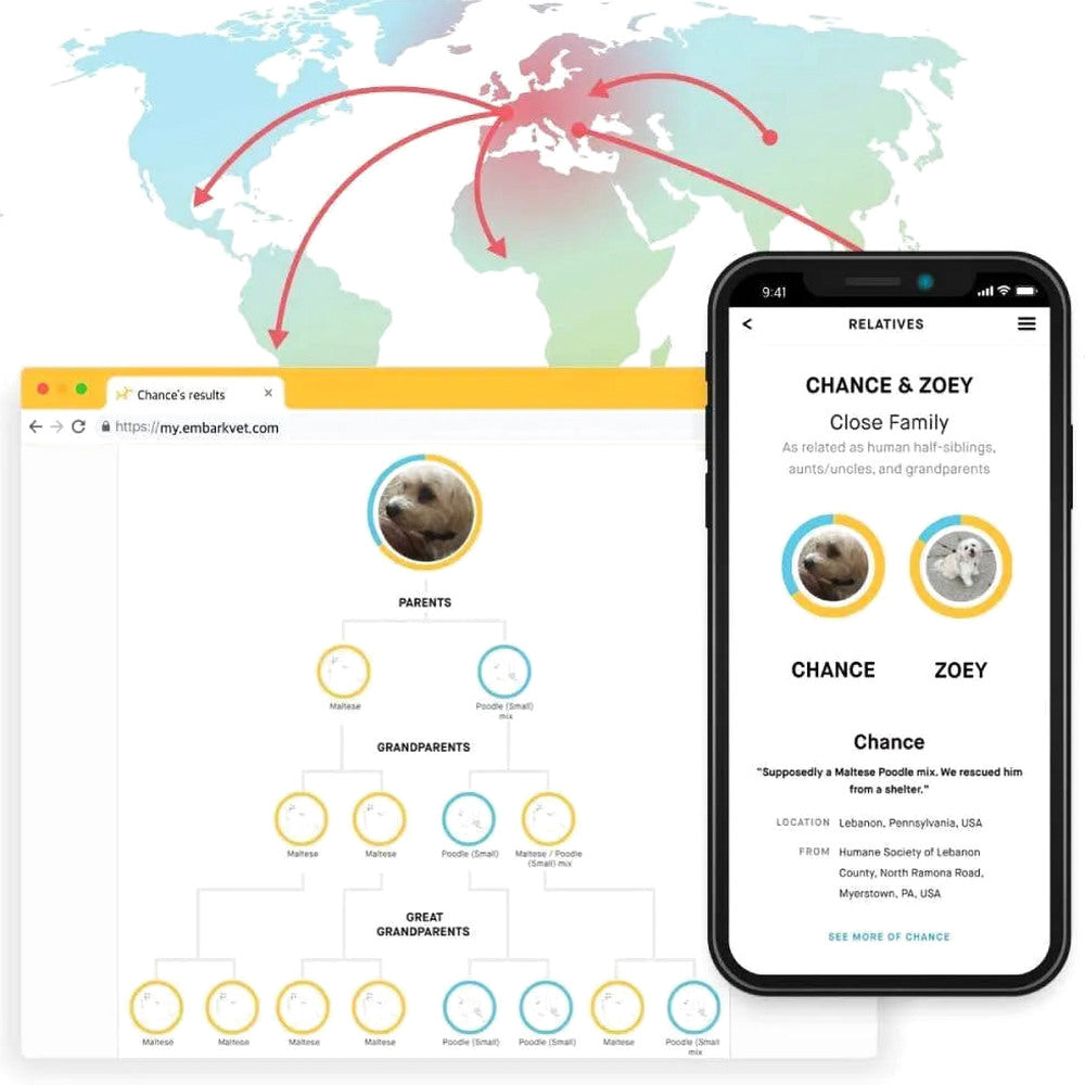 Embark Dog DNA Test, Breed Identification Kit