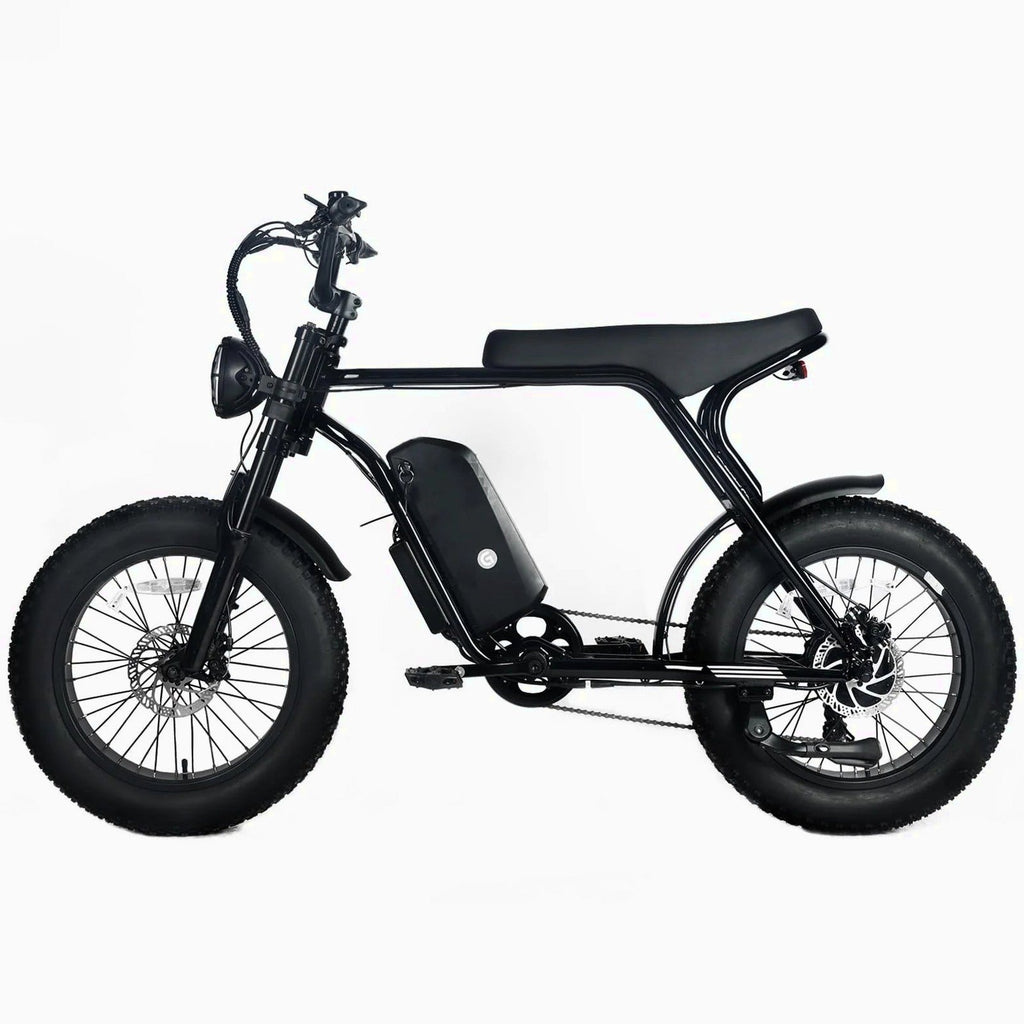 Electric Mountain Bike for Adults | 20 x 4.0 Fat Tires, 1000W Motor, 48V 20Ah Removable Battery, Max Speed 45MPH, Shi Mano 7-Speed for Off-Road Adventures