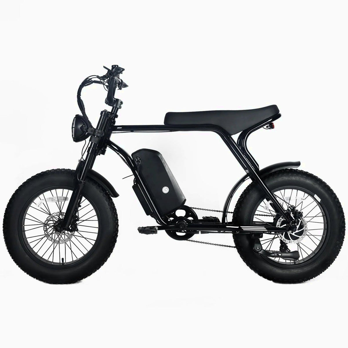 Electric Mountain Bike for Adults | 20 x 4.0 Fat Tires, 1000W Motor, 48V 20Ah Removable Battery, Max Speed 45MPH, Shi Mano 7-Speed for Off-Road Adventures