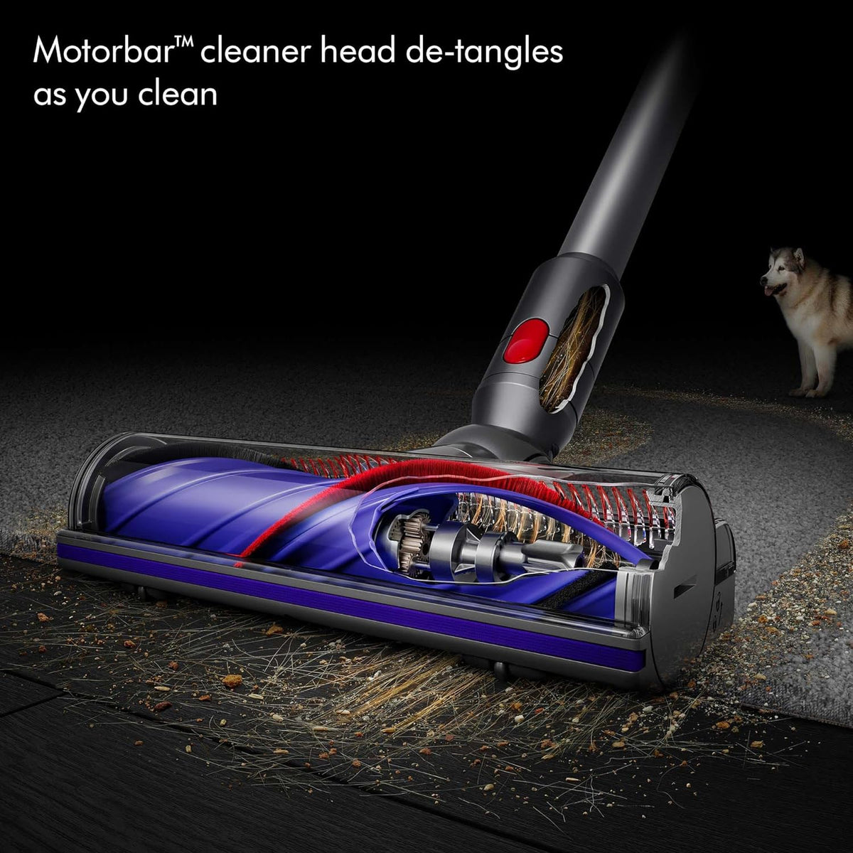 Dyson Cordless Stick Vacuum Cleaner, 0.14 Gallons, Silver/Nickel - V8 SV25