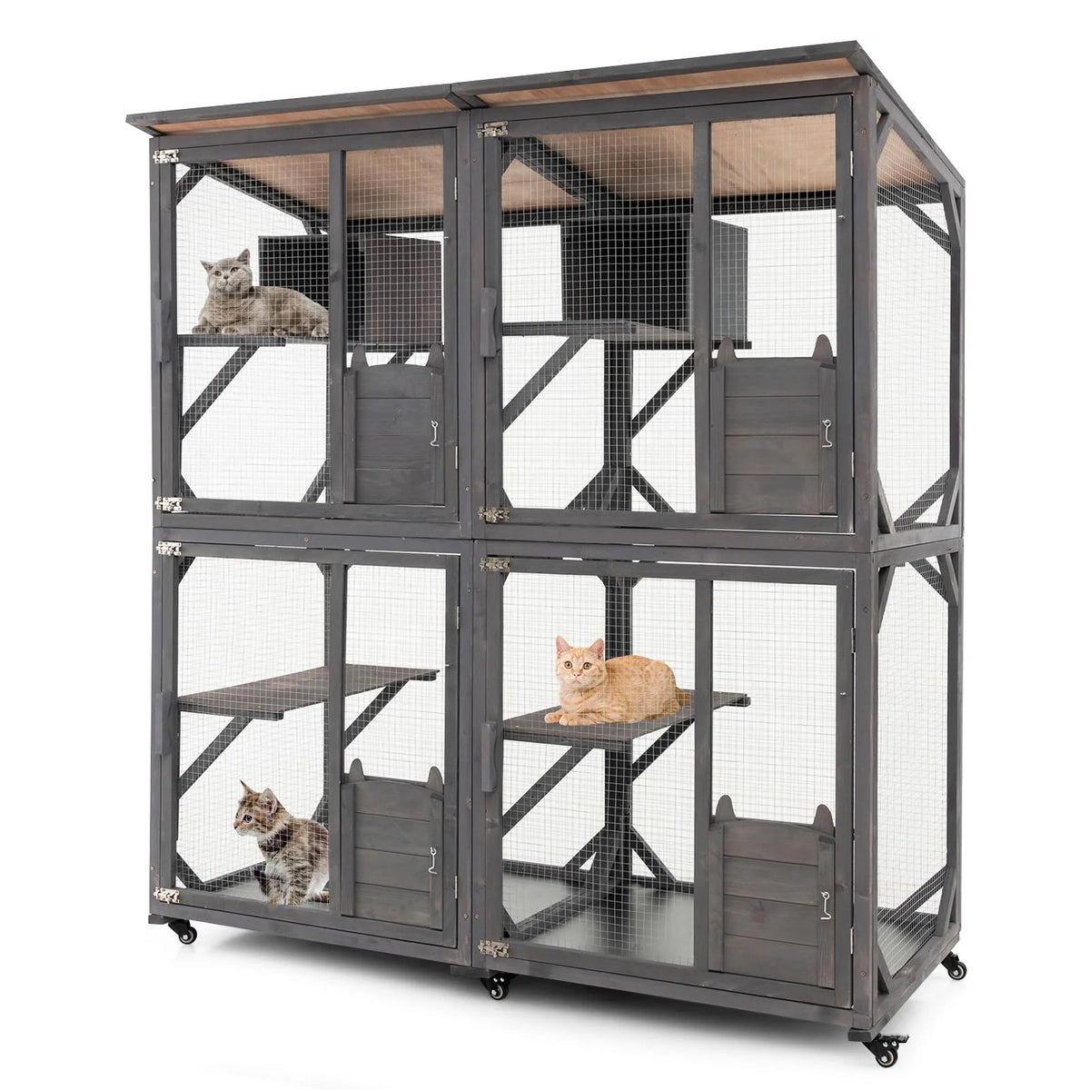 Outdoor Cat Enclosure, Grey, 63 x 27.5 x 72 in