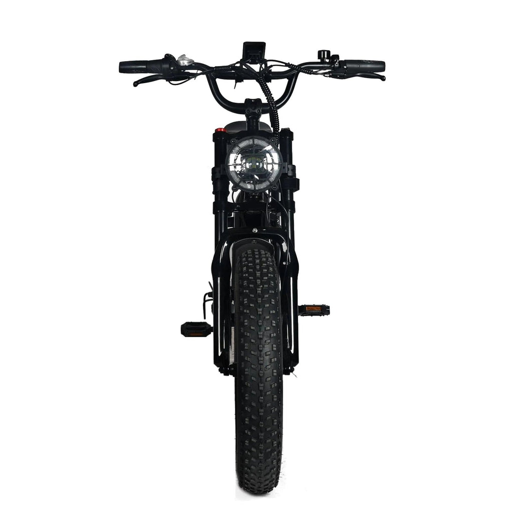 Electric Mountain Bike for Adults | 20 x 4.0 Fat Tires, 1000W Motor, 48V 20Ah Removable Battery, Max Speed 45MPH, Shi Mano 7-Speed for Off-Road Adventures