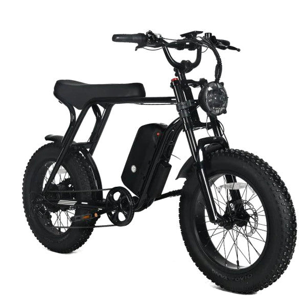 Electric Mountain Bike for Adults | 20 x 4.0 Fat Tires, 1000W Motor, 48V 20Ah Removable Battery, Max Speed 45MPH, Shi Mano 7-Speed for Off-Road Adventures