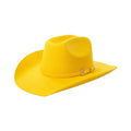 Texas Wool Western Cowboy Hat