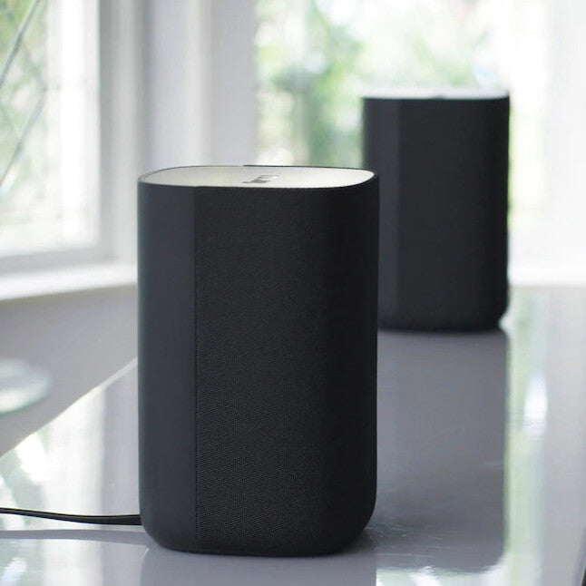 Roku 6.1-in 80-Watt Set of 2 Smart Indoor Portable Speaker
