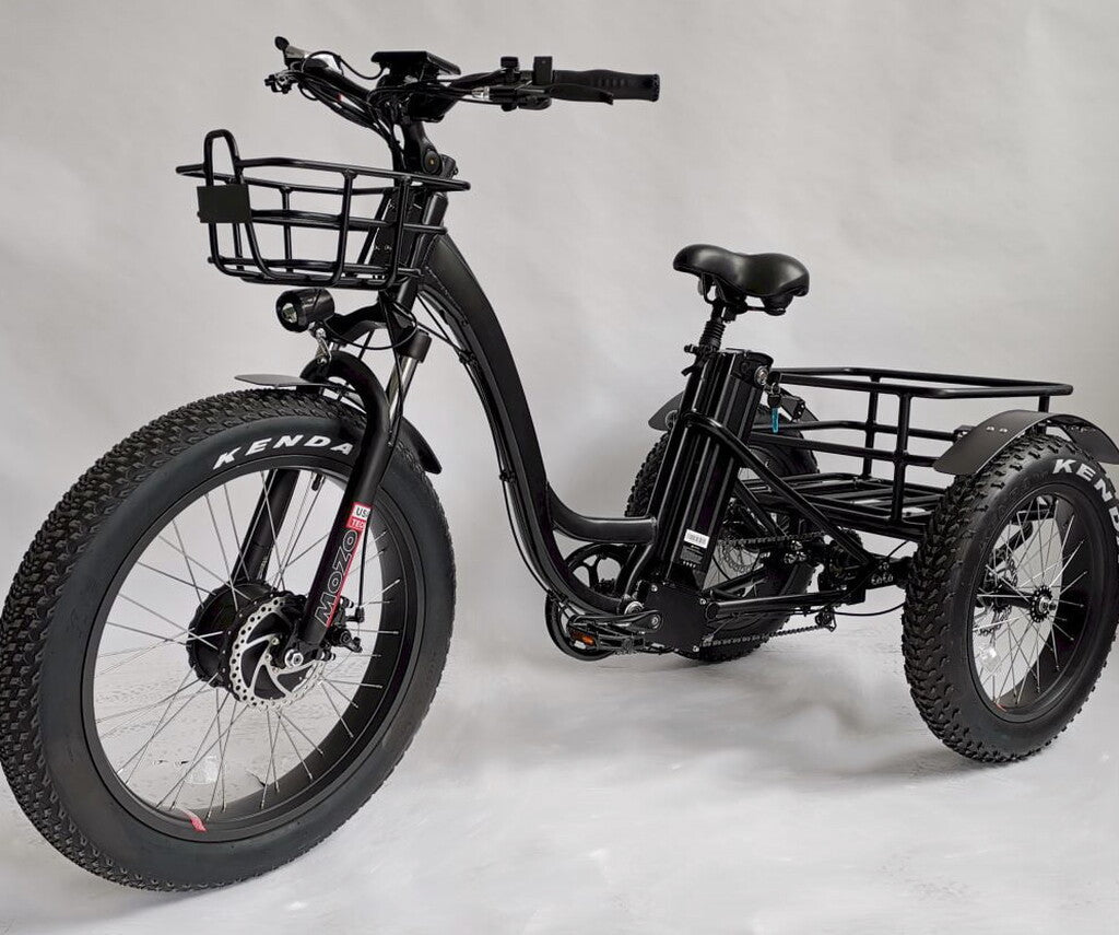 BaFang Fat Tire Electric Trike - 750W 48V All-Terrain Tricycle with Samsung Battery, Dual Suspension, Shimano 7-Speed, LCD Display, 350 lbs Capacity