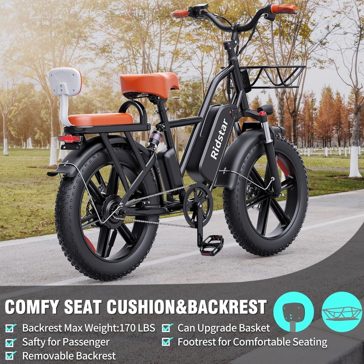 Electric Bike for Adults750W 30-70Miles 48V 15AH Removable Battery Ebike 20" x 4.0 Fat Tire Beach Commuting E-Bike 2 Seater W/Fork Suspension UL2849