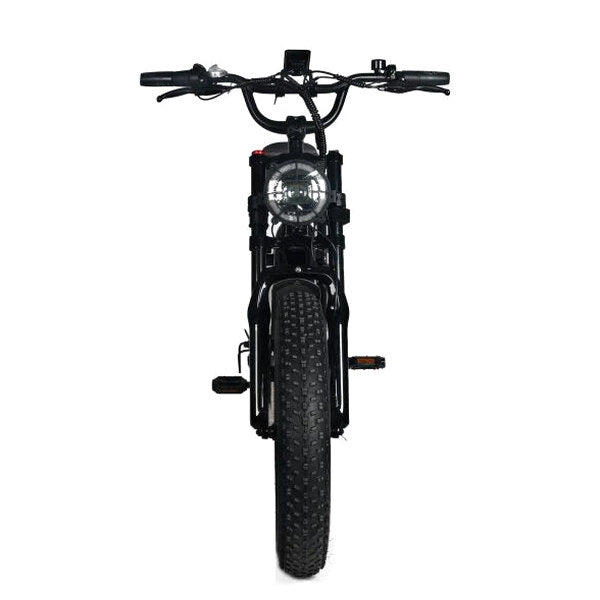 Electric Mountain Bike for Adults | 20 x 4.0 Fat Tires, 1000W Motor, 48V 20Ah Removable Battery, Max Speed 45MPH, Shi Mano 7-Speed for Off-Road Adventures