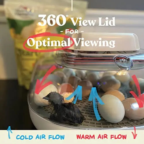 Harris Farms Egg Incubator For Hatching Chicks, Holds 22 Eggs - Nurture Right