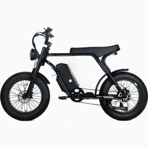 Electric Mountain Bike for Adults | 20 x 4.0 Fat Tires, 1000W Motor, 48V 20Ah Removable Battery, Max Speed 45MPH, Shi Mano 7-Speed for Off-Road Adventures