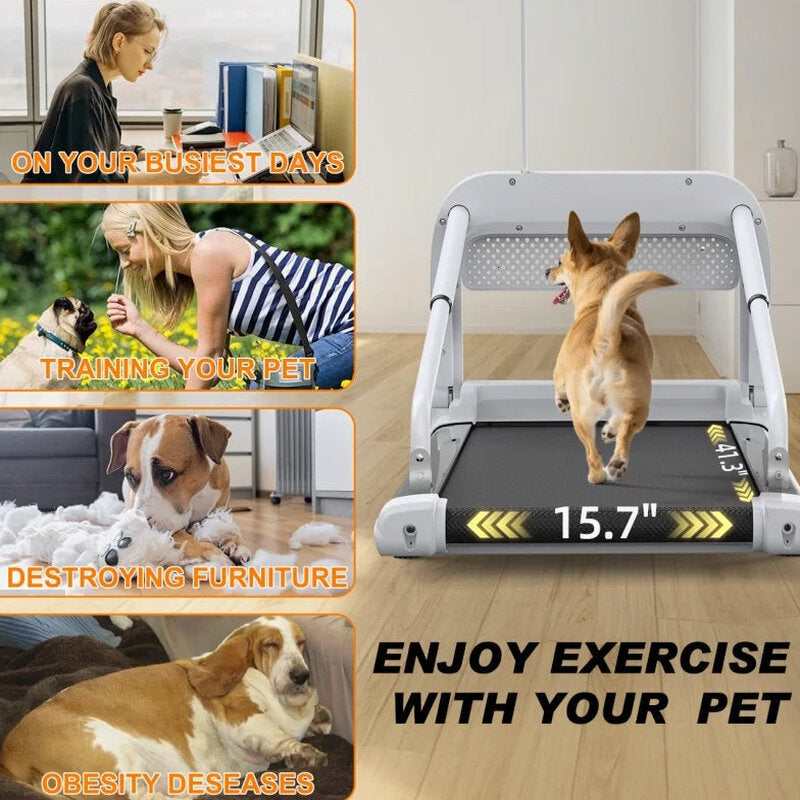 Witaxima 2025 New Quiet Smart Pet Treadmill, Adjustable Speed, Perfect for Small/Medium Dogs