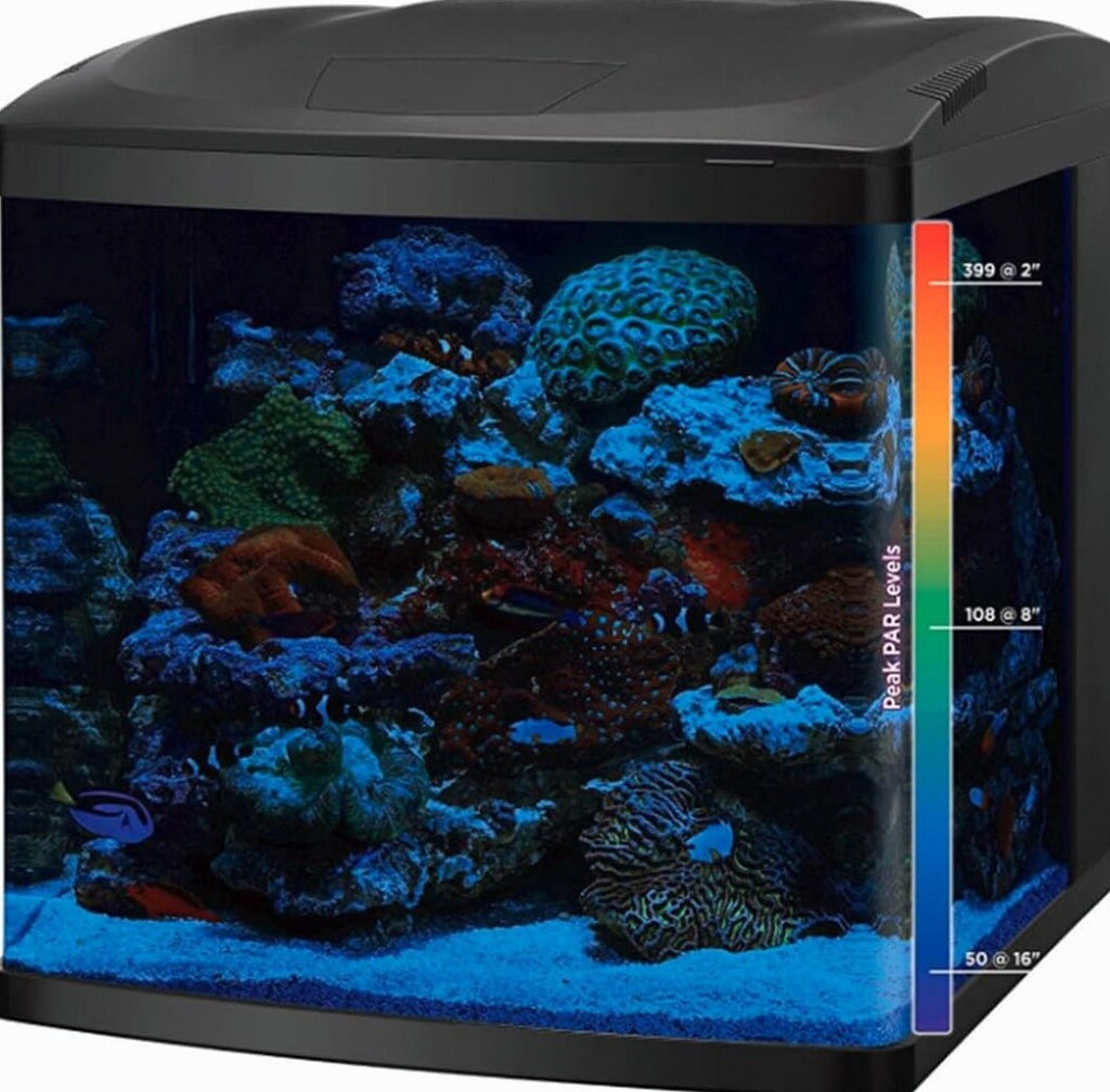 LED Tanks and Combo Kits (32 Gallon Tank/Stand Kit)