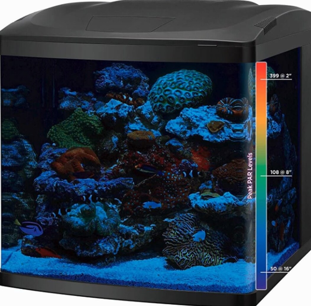 LED Tanks and Combo Kits (32 Gallon Tank/Stand Kit)