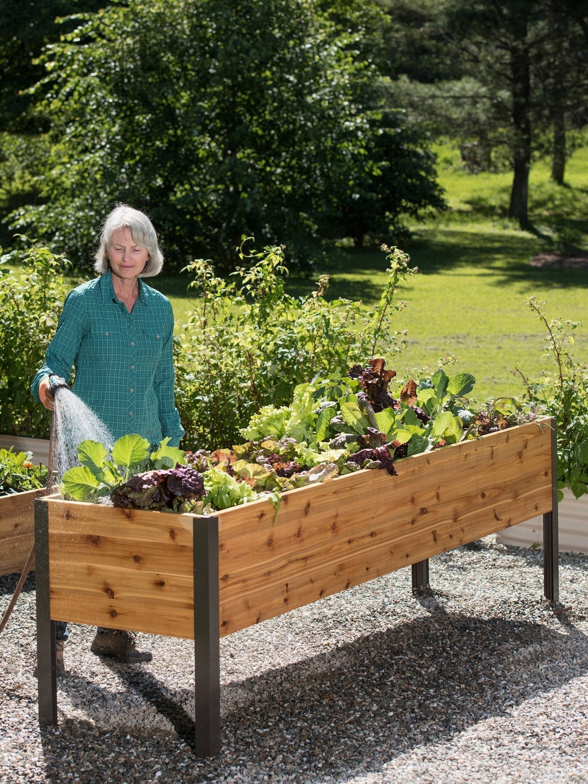 Watering Eco-Stained Elevated Planter Box