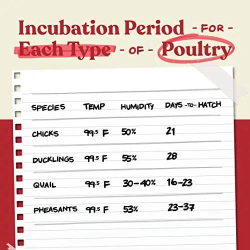 Harris Farms Egg Incubator For Hatching Chicks, Holds 22 Eggs - Nurture Right