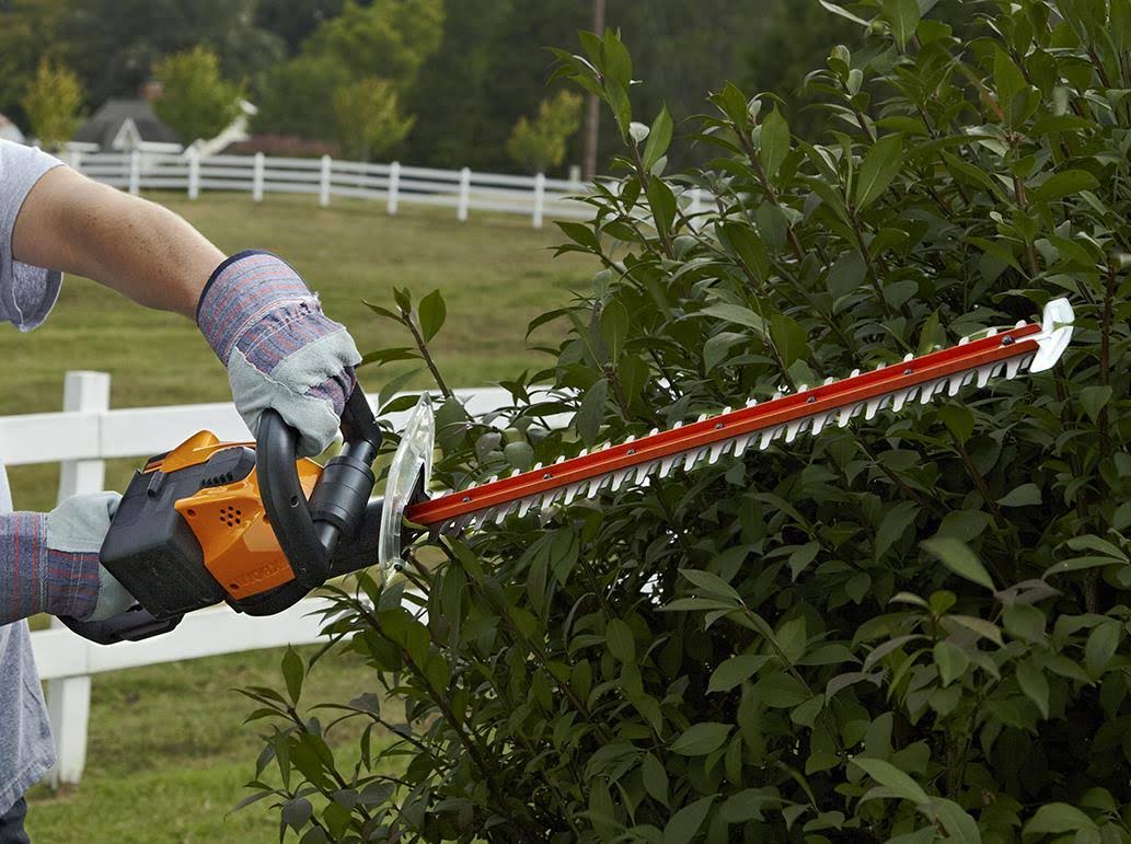 24x22 56V Cordless Hedge Trimmer - WG291