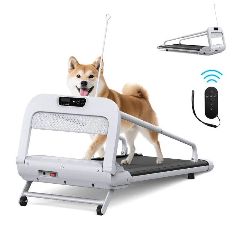 Witaxima 2025 New Quiet Smart Pet Treadmill, Adjustable Speed, Perfect for Small/Medium Dogs