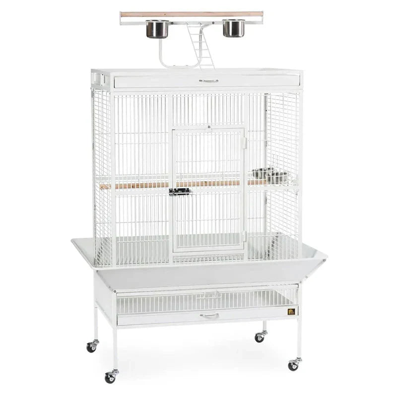 Wrought Iron Select Bird Cage, Chalk White, 36-Inch x 24-Inch x 66-Inch - 3154C