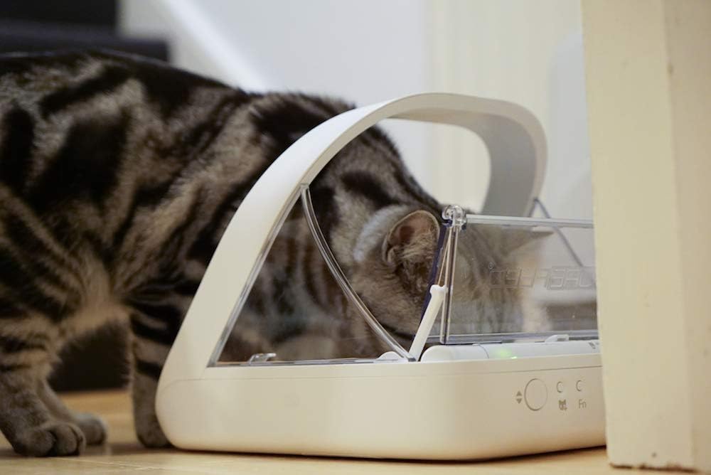 Selective Pet Feeder Connection System With Integrated Scale