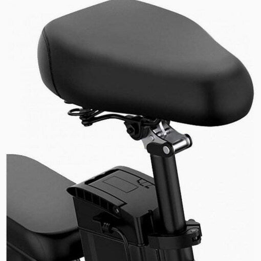 Folding Electric Bike 250W - 14" LCD Display, Removable Battery, Dual Disc Brake, Black