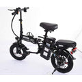 Folding Electric Bike 250W - 14" LCD Display, Removable Battery, Dual Disc Brake, Black
