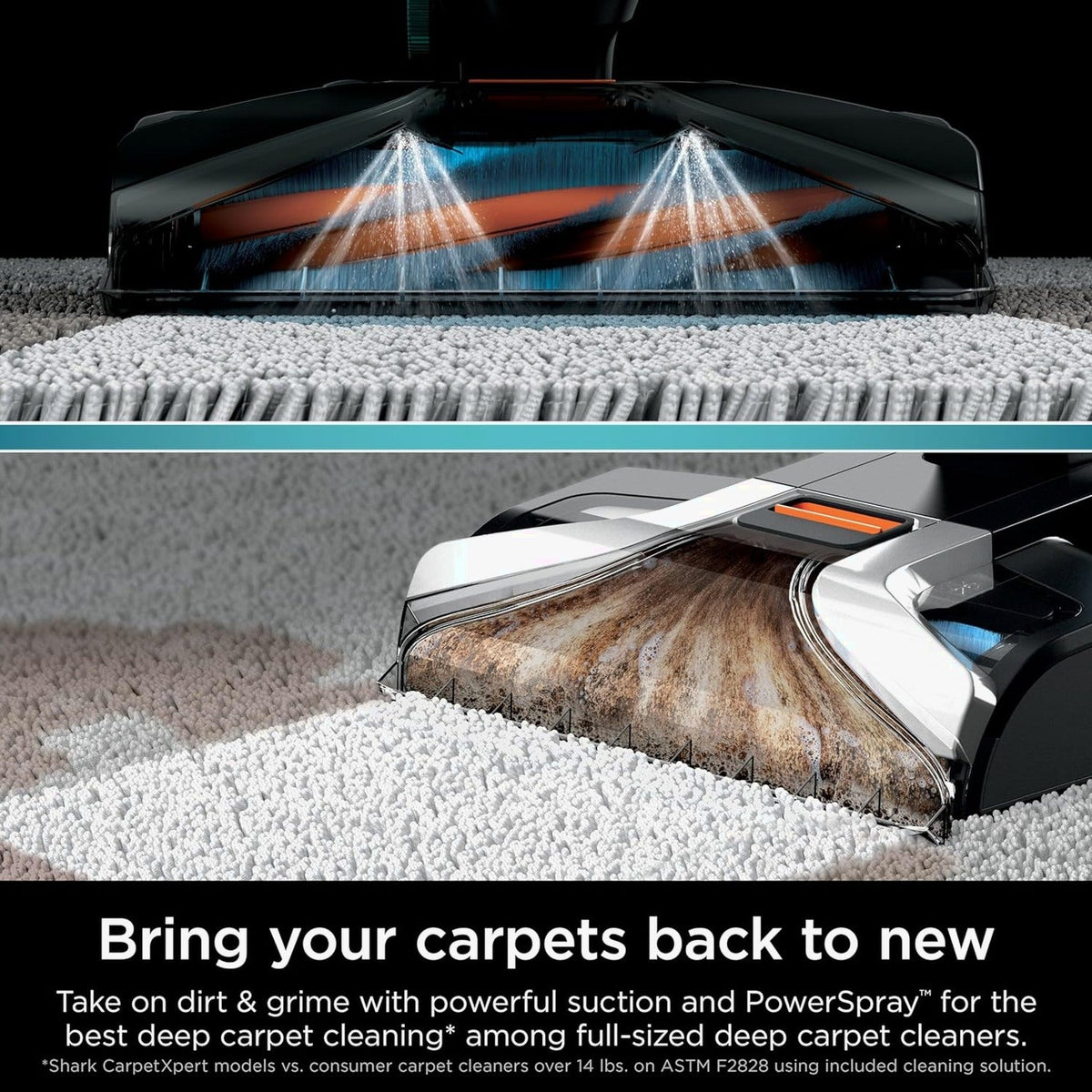Shark CarpetXpert EX201 Carpet Cleaner, Cyan - Powerful Suction, StainStriker Tech, Pet Stain Removal, Includes Tools