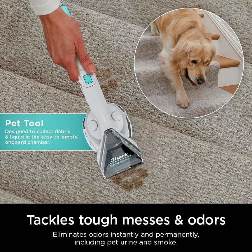 Shark CarpetXpert EX201 Carpet Cleaner, Cyan - Powerful Suction, StainStriker Tech, Pet Stain Removal, Includes Tools